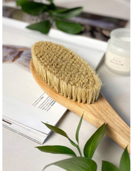  Dry brush al mira